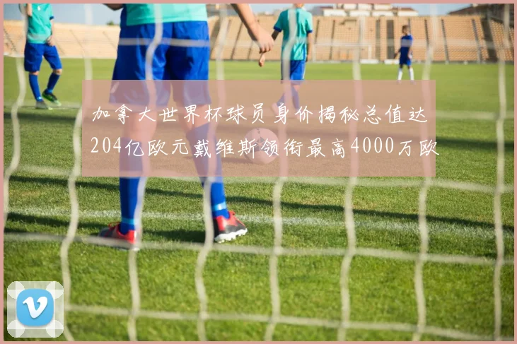 加拿大世界杯球员身价揭秘总值达204亿欧元戴维斯领衔最高4000万欧