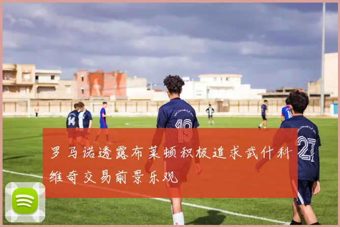 罗马诺透露布莱顿积极追求武什科维奇交易前景乐观